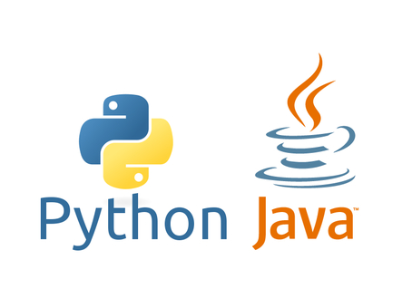 logo java et python